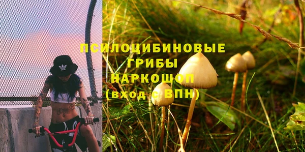 сатива Алексеевка