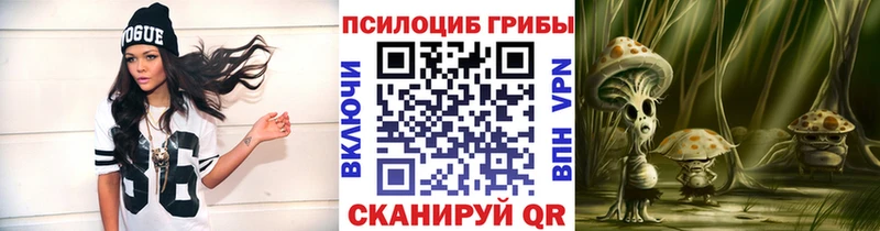 Псилоцибиновые грибы Psilocybe  Новая Ладога 